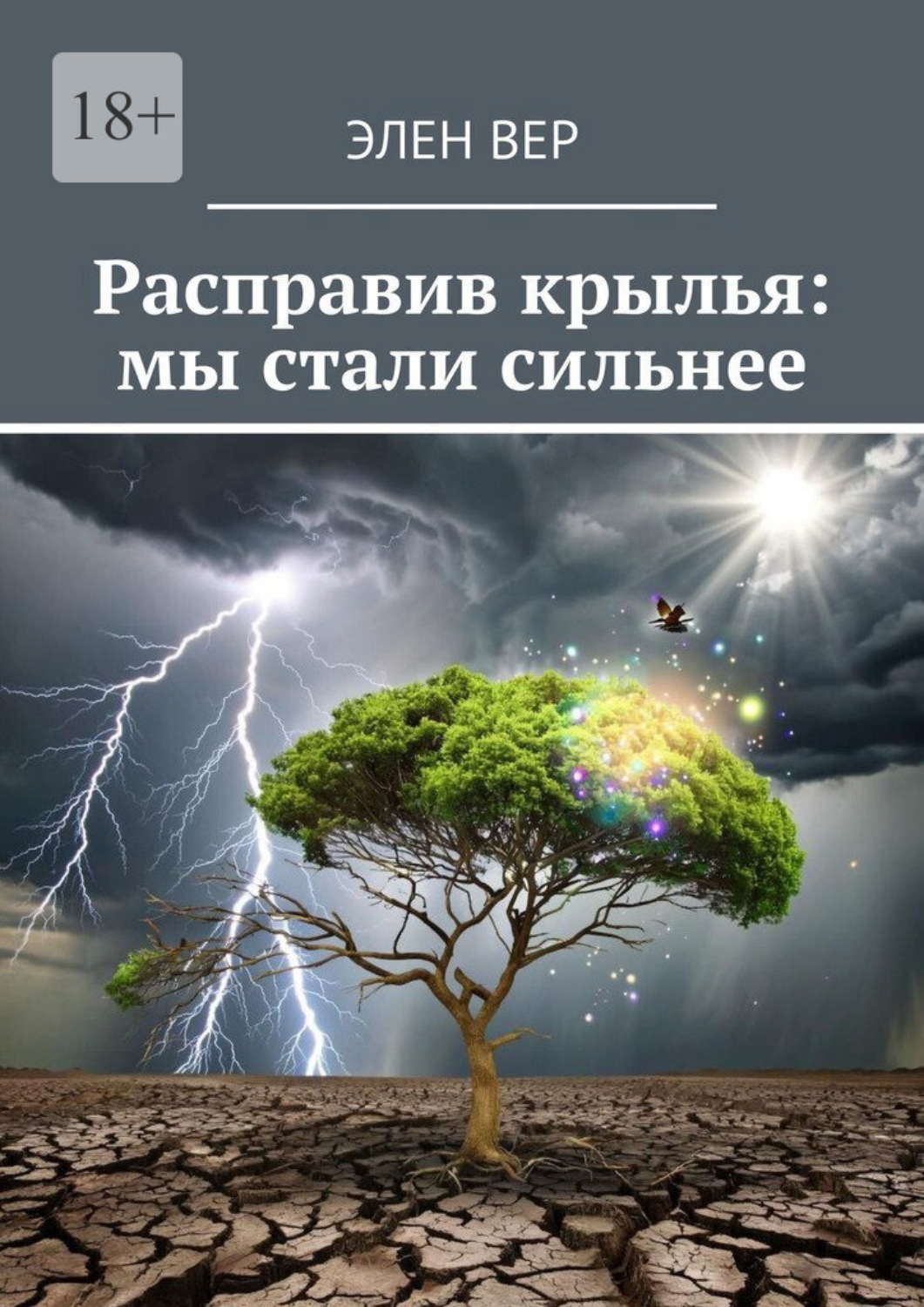 Обложка книги «Расправив крылья: мы стали сильнее»