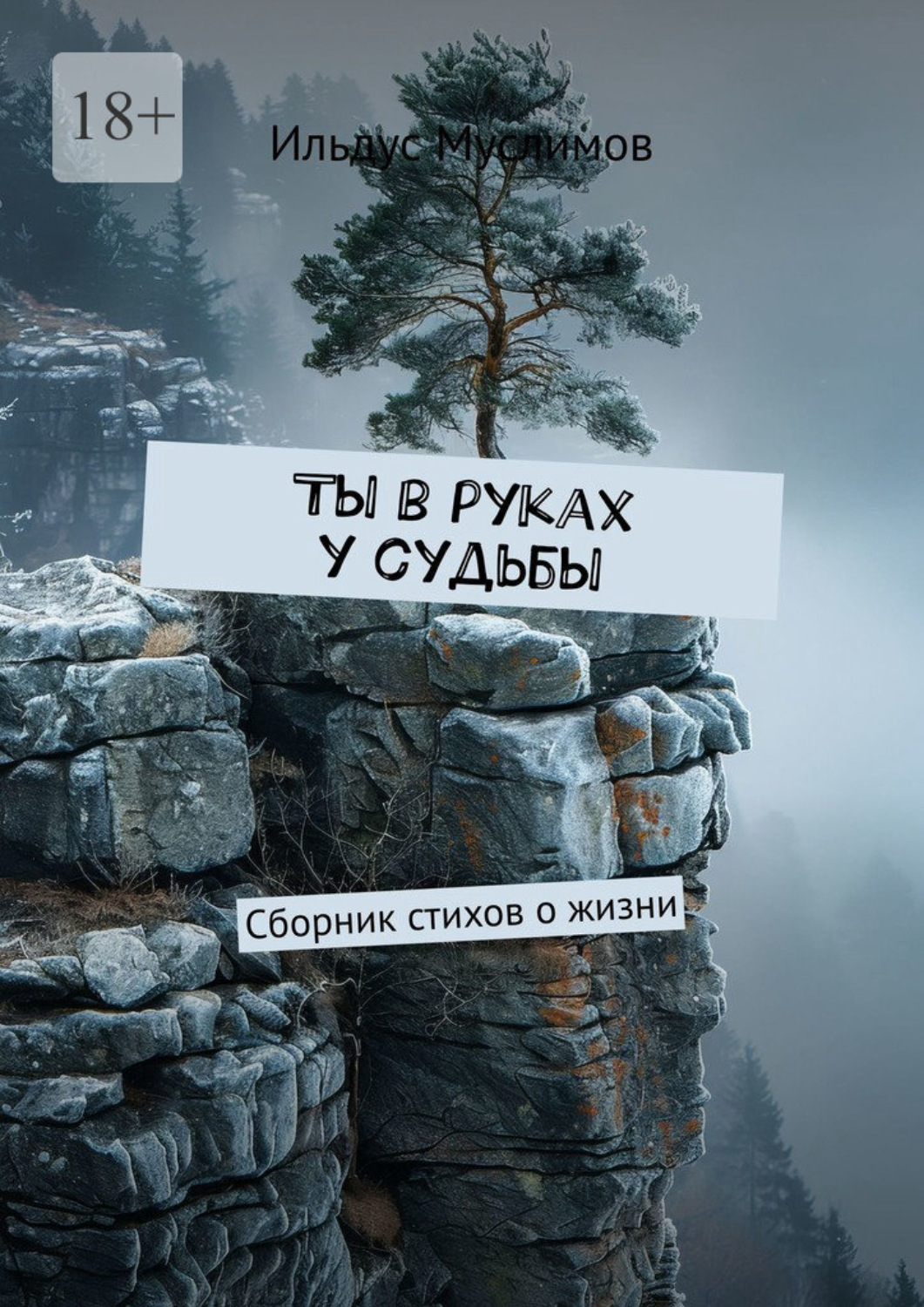Обложка книги «Ты в руках у судьбы. Сборник стихов о жизни»