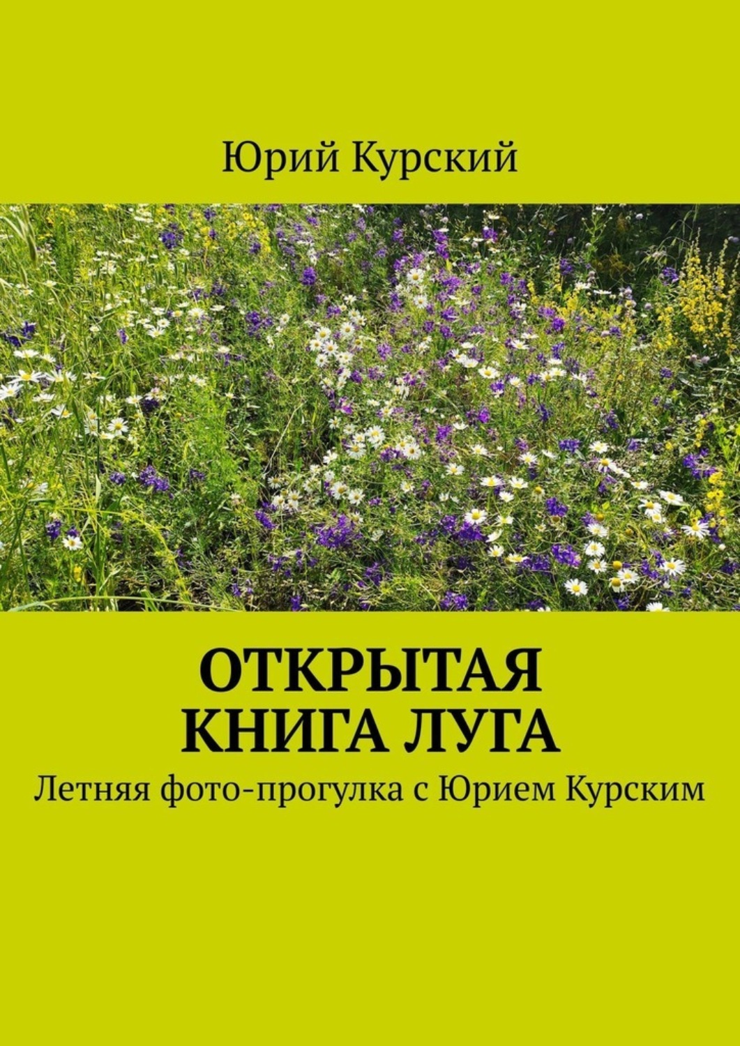 Обложка книги «Открытая книга луга. Летняя фото-прогулка с Юрием Курским»