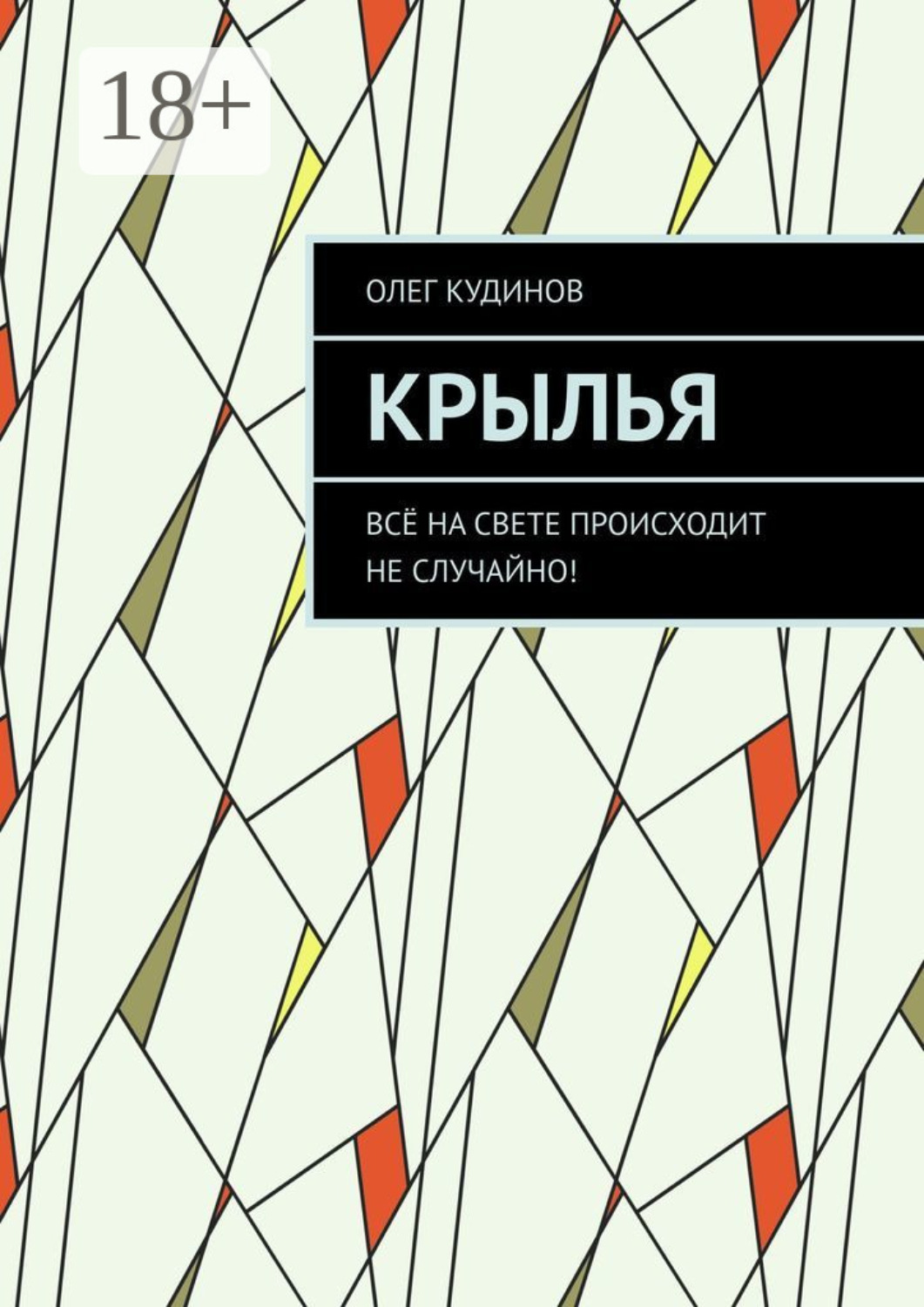 Обложка книги «Крылья. Всё на свете происходит не случайно!»