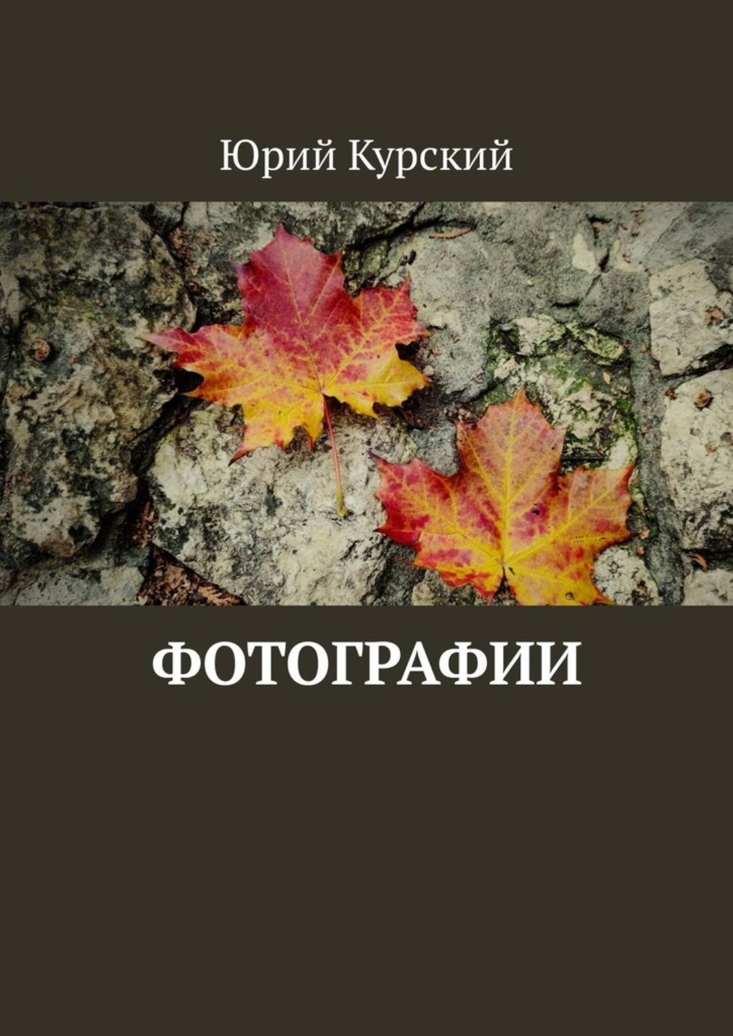 Обложка книги «Фотографии»