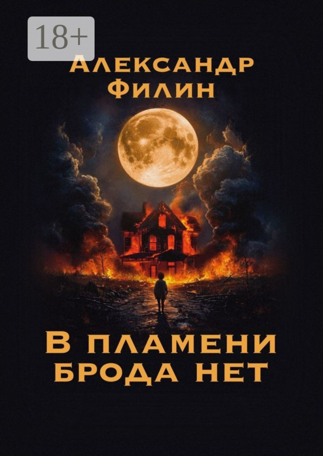 Обложка книги «В пламени брода нет»