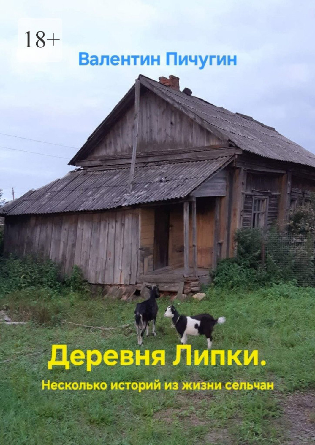 Обложка книги «Деревня Липки. Несколько историй из жизни сельчан»