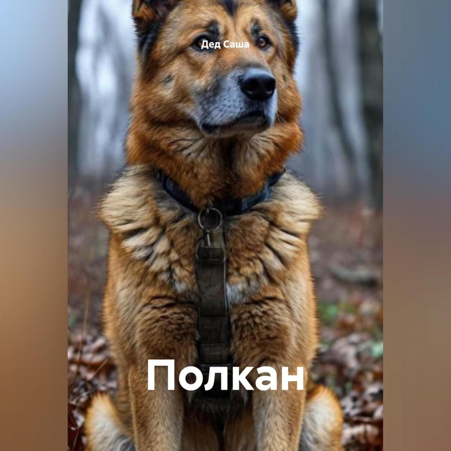 Обложка книги «Полкан»