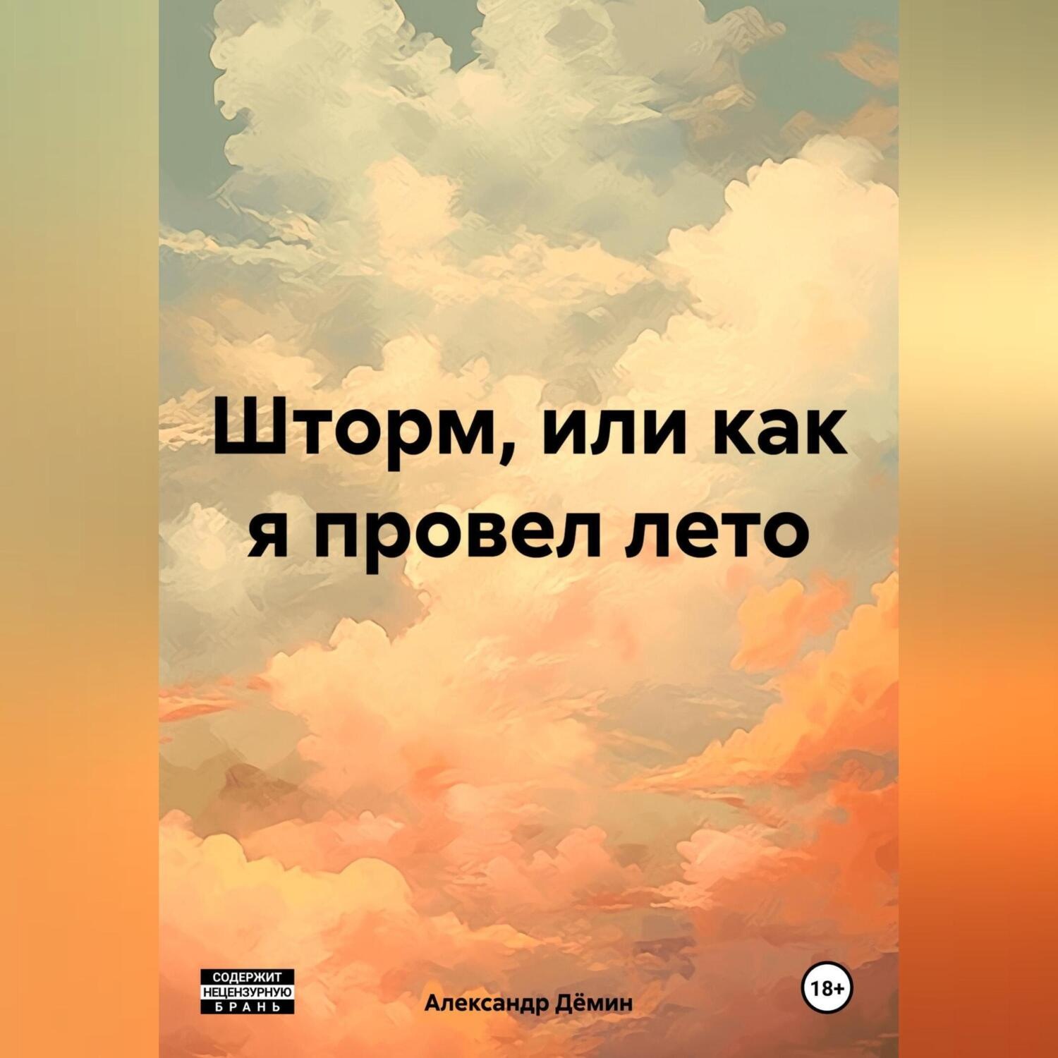 Обложка книги «ШТОРМ, ИЛИ КАК Я ПРОВЁЛ ЛЕТО»