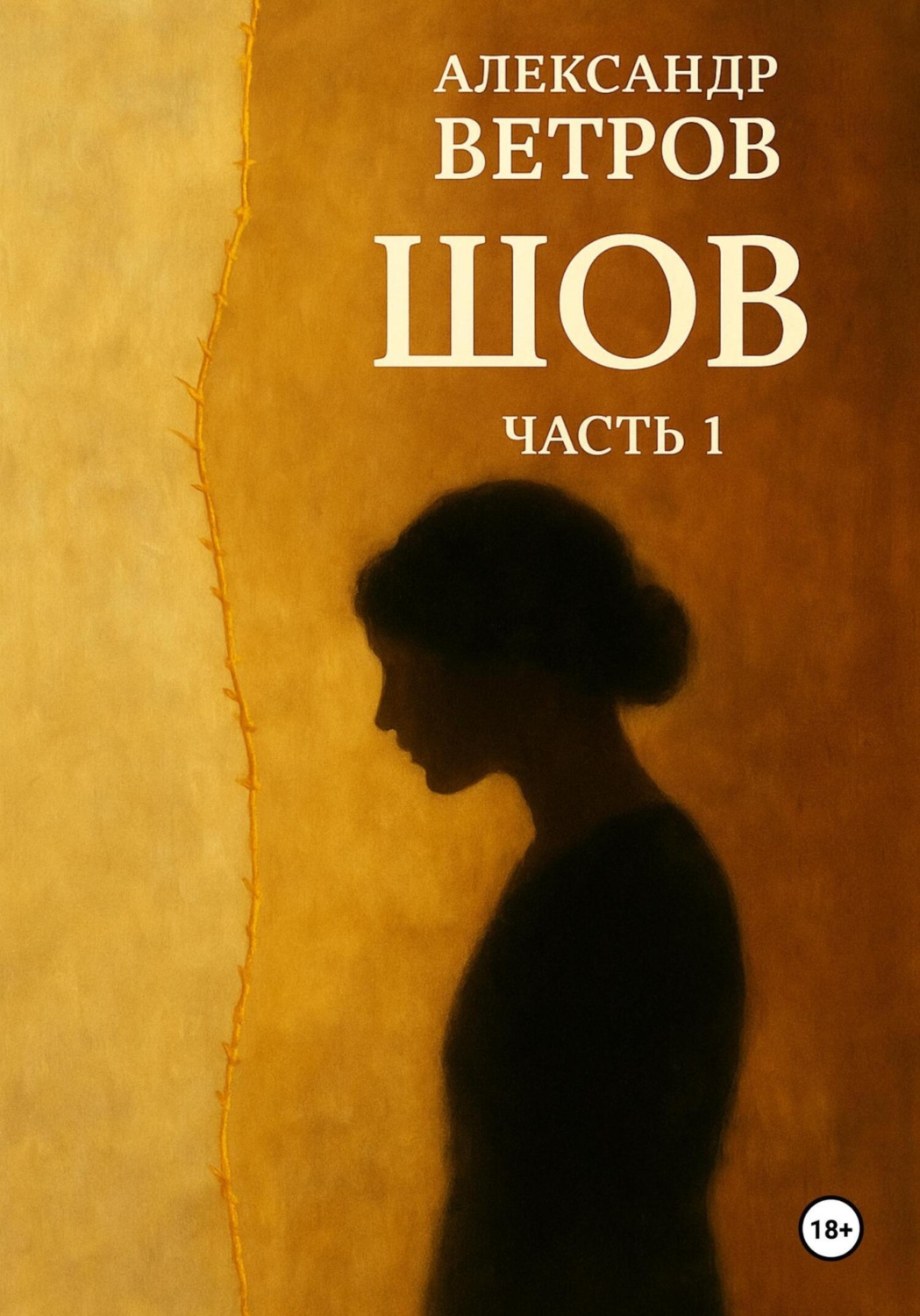 Обложка книги «Шов»