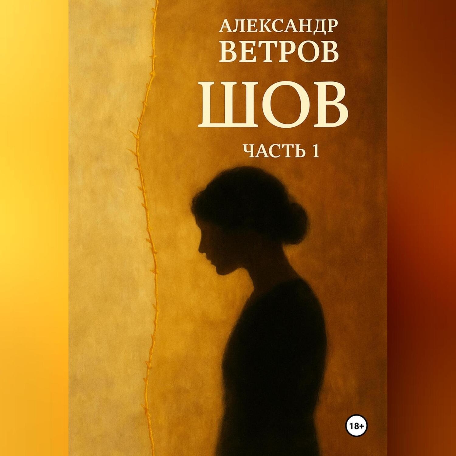 Обложка книги «ШОВ»