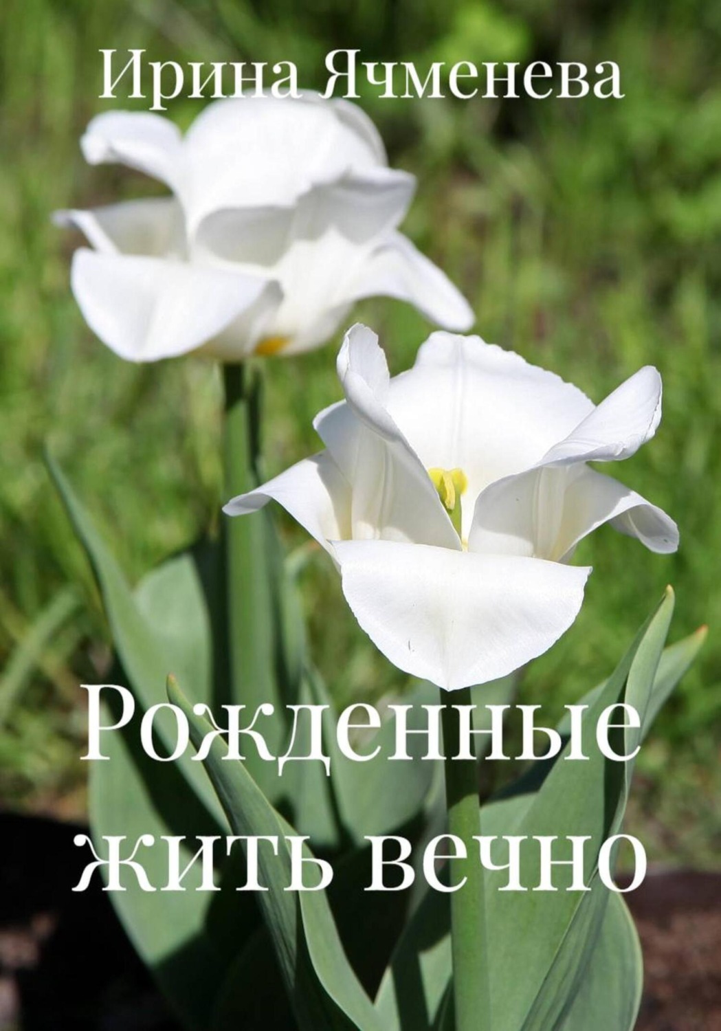 Обложка книги «Рожденные жить вечно»