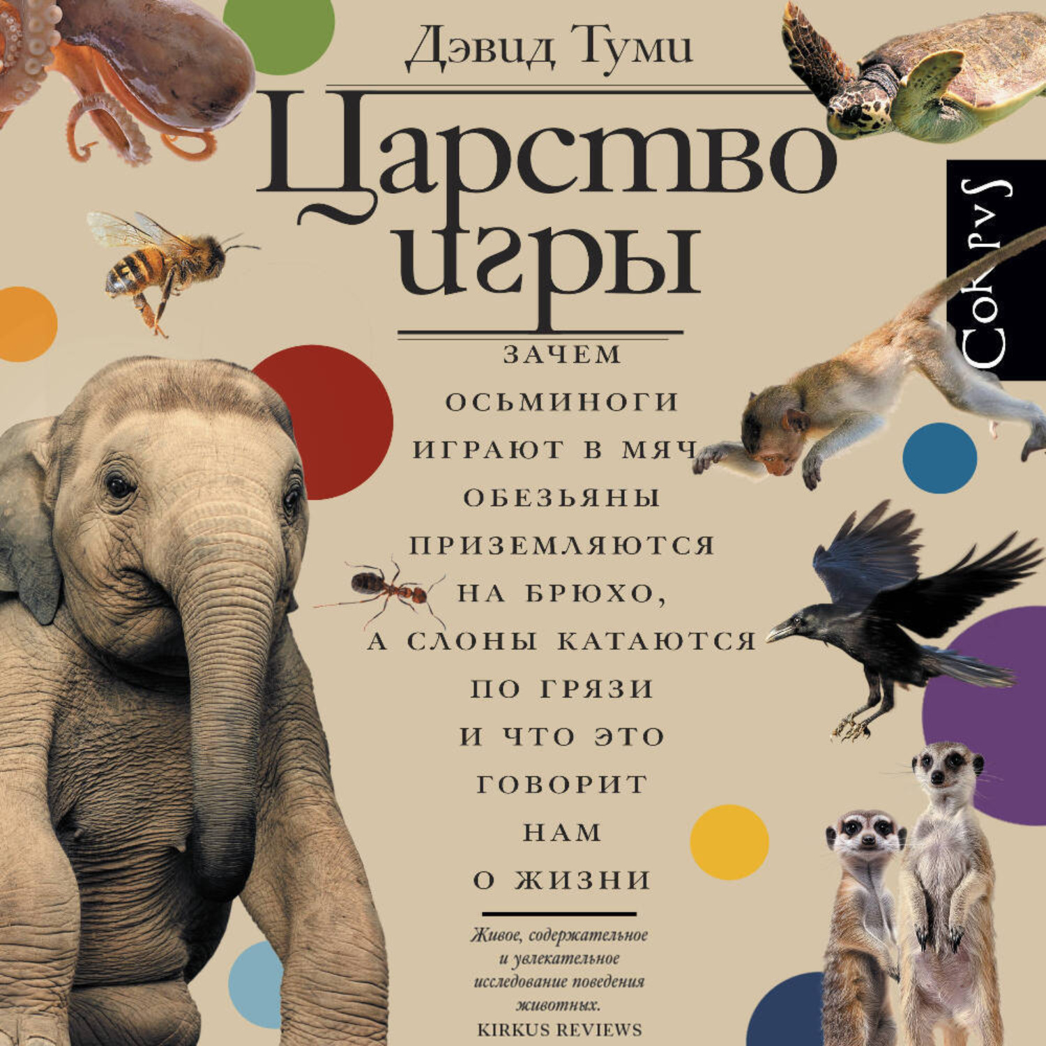Обложка книги «Царство игры. Зачем осьминоги играют в мяч, обезьяны приземляются на брюхо, а слоны катаются по грязи и что это говорит нам о жизни»