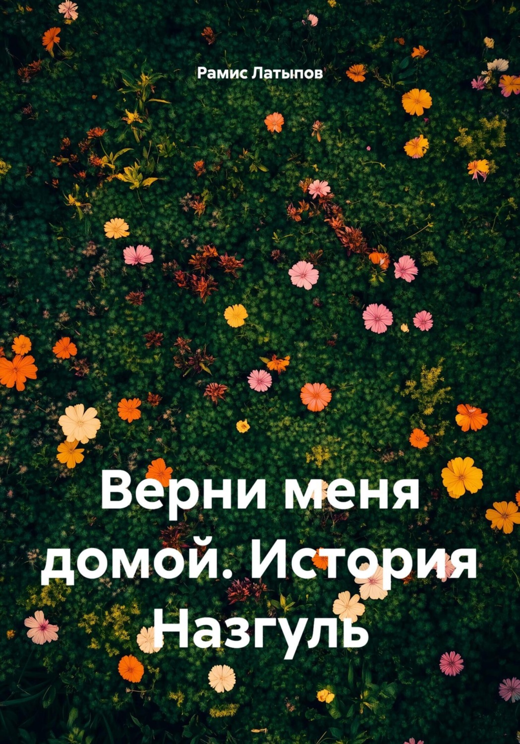 Обложка книги «Верни меня домой. История Назгуль»