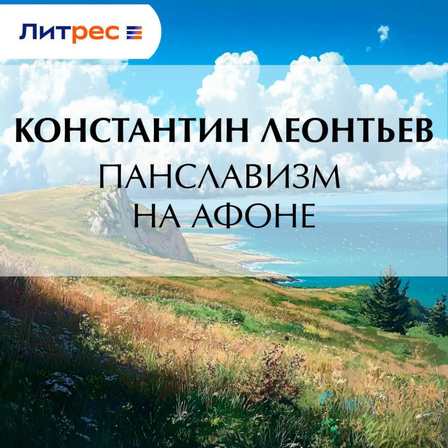 Обложка книги «Панславизм на Афоне»