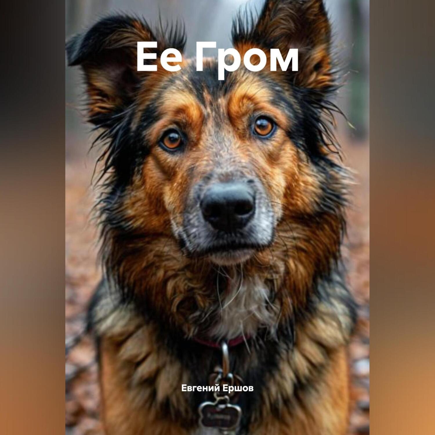 Обложка книги «Ее Гром»
