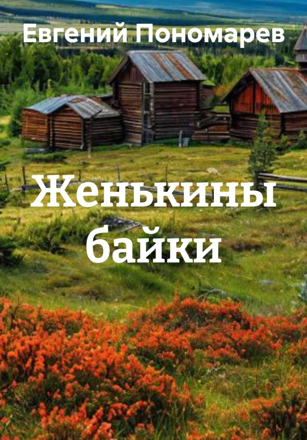 Обложка книги «Женькины байки»