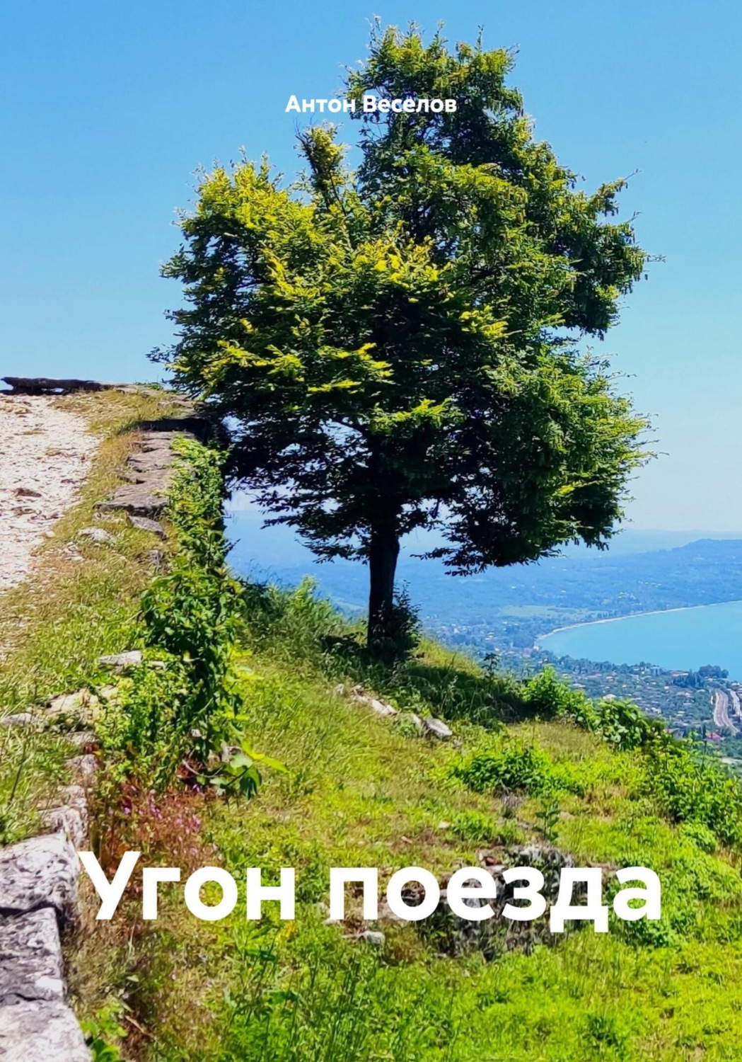 Обложка книги «Угон поезда»