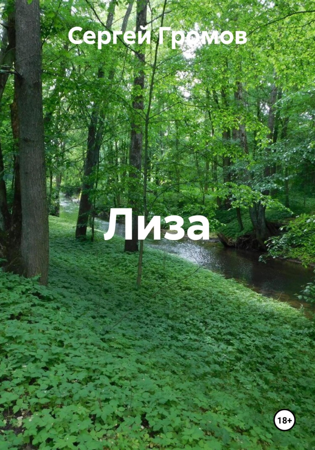 Обложка книги «Лиза»
