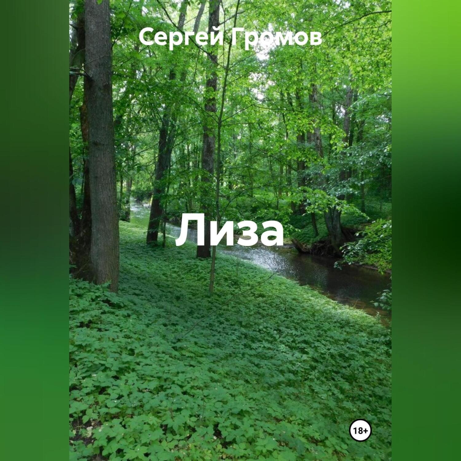 Обложка книги «Лиза»