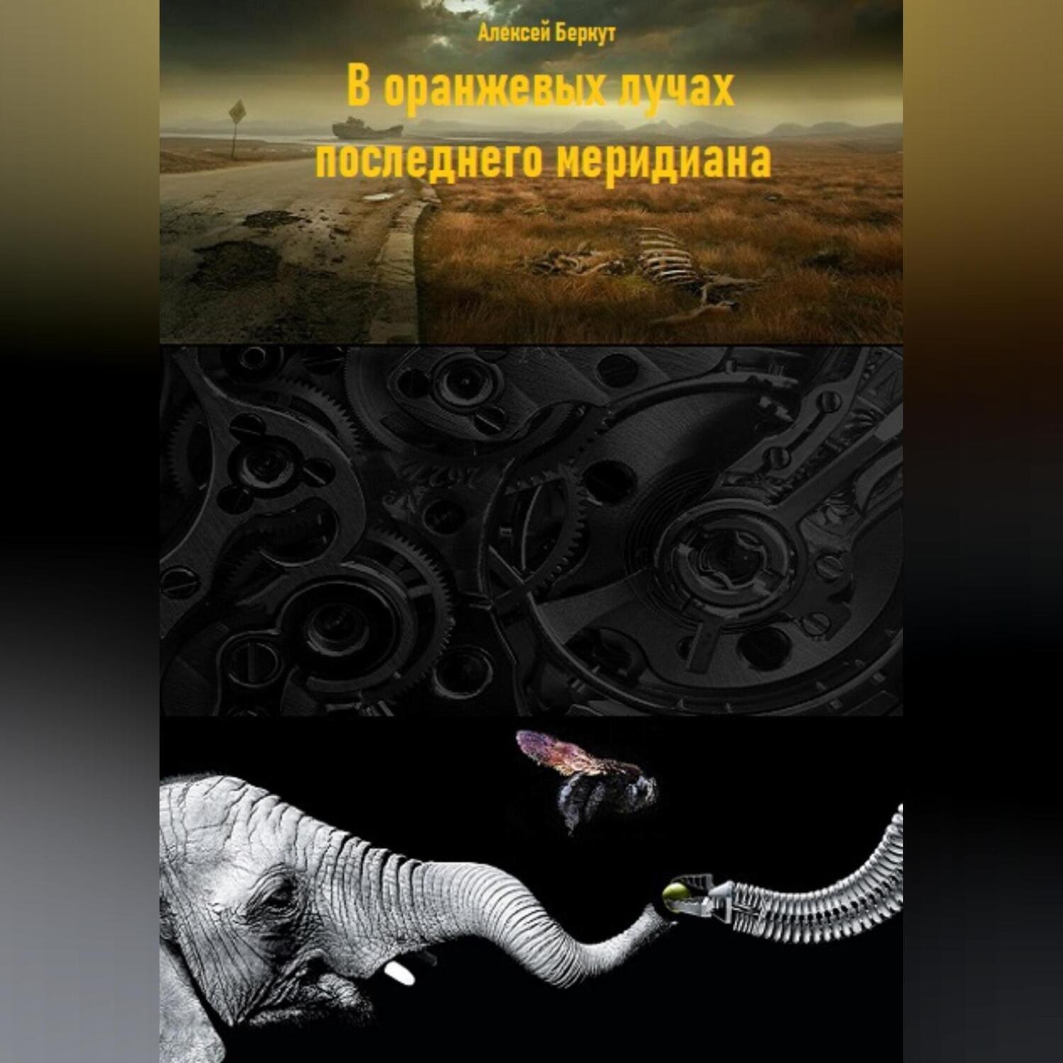 Обложка книги «В оранжевых лучах последнего меридиана»