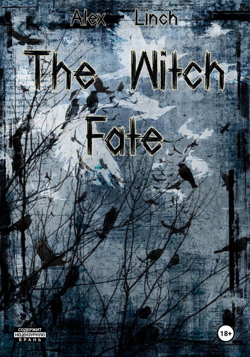 Обложка книги «The Witch Fate»