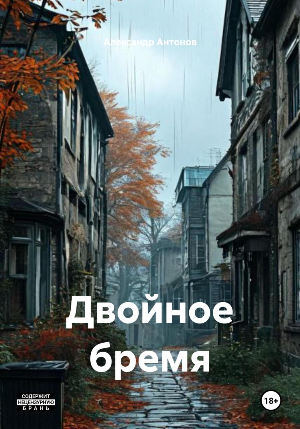Обложка книги «Двойное бремя»