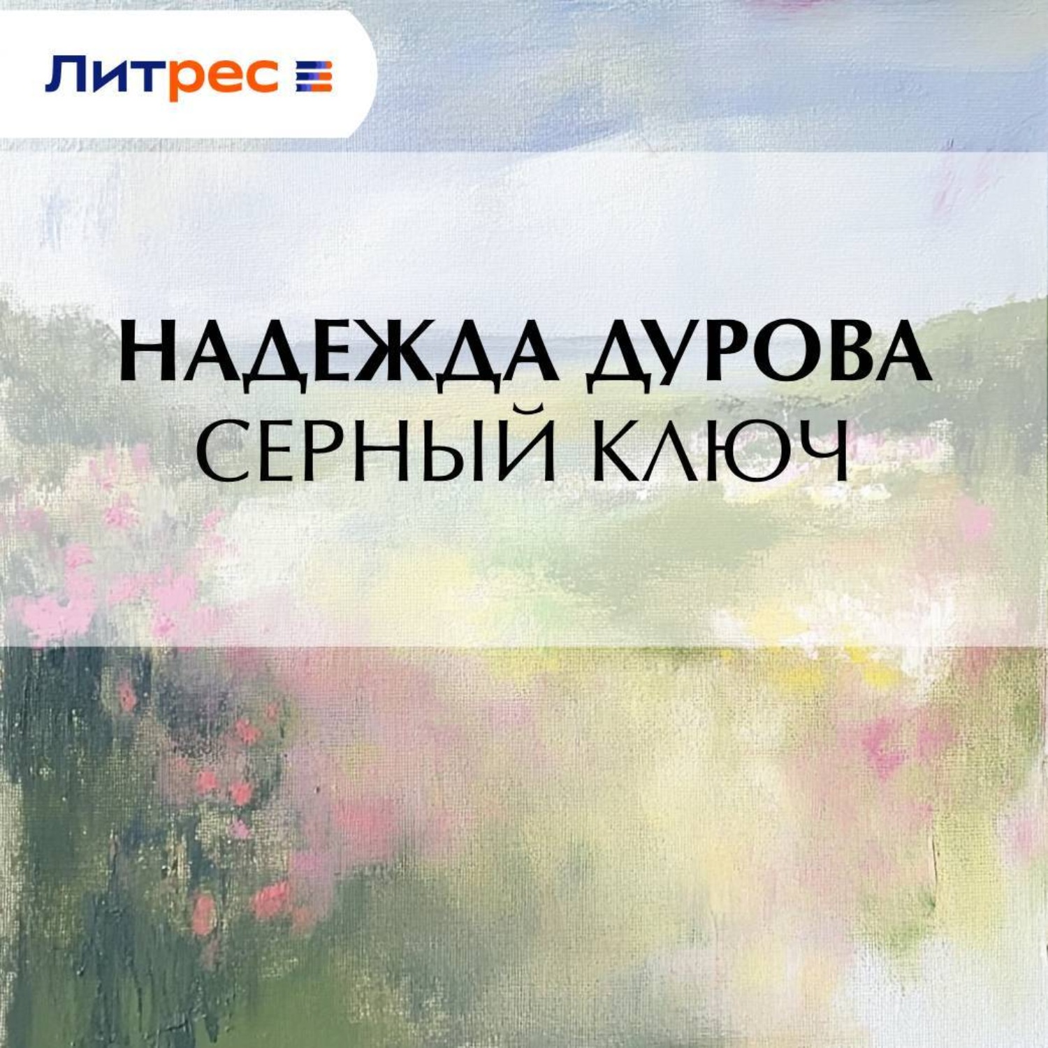 Обложка книги «Серный ключ»
