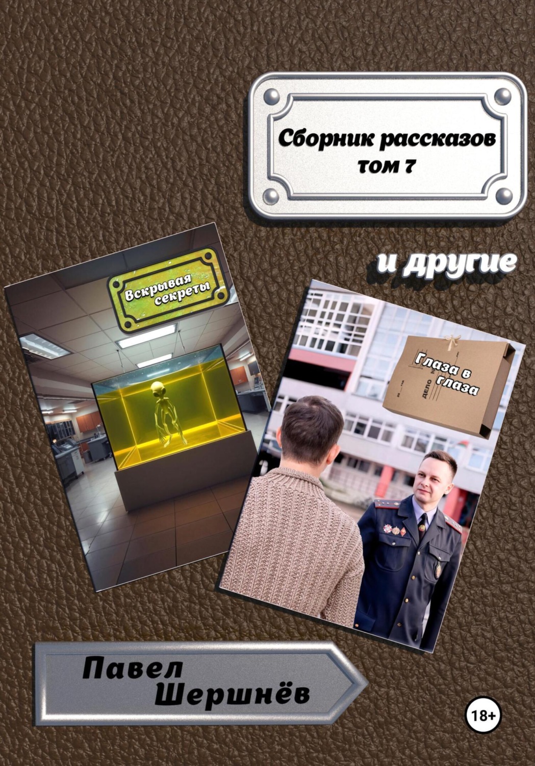 Обложка книги «Сборник рассказов. Том 7»