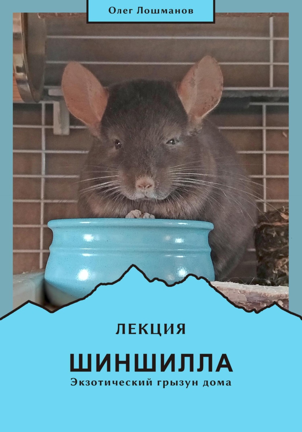Обложка книги «Шиншилла – экзотический грызун дома»