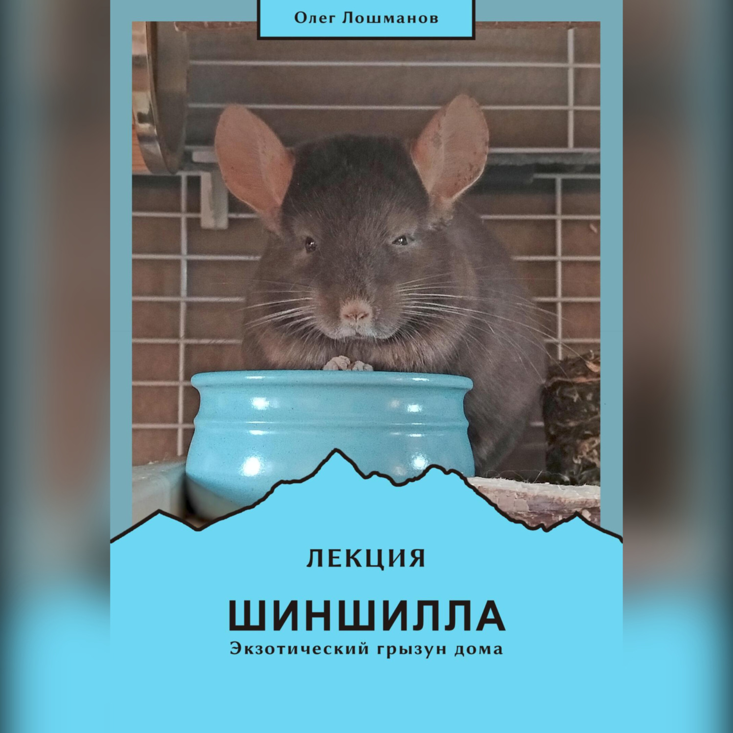 Обложка книги «Лекция «Шиншилла – экзотический грызун дома»»