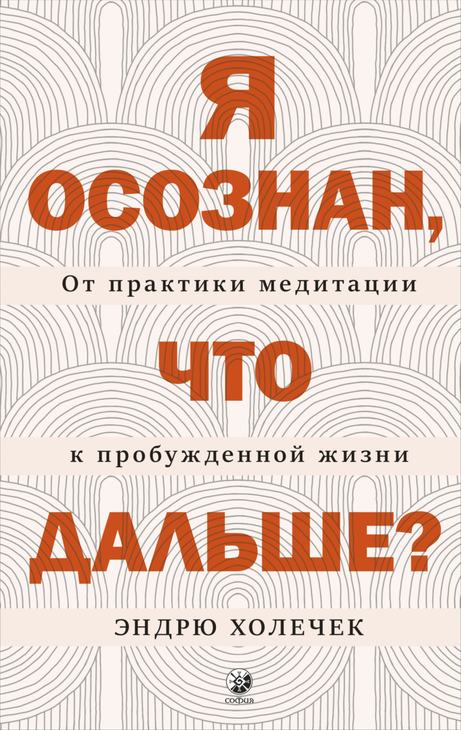 Обложка книги «Я осознан, что дальше? От практики медитации к пробужденной жизни»