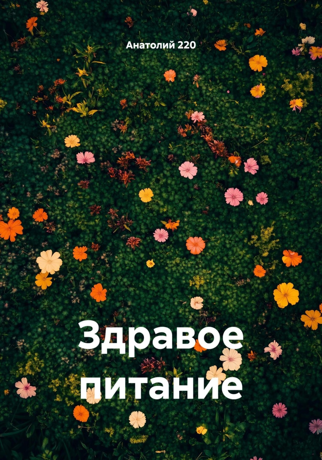 Обложка книги «Здравое питание»