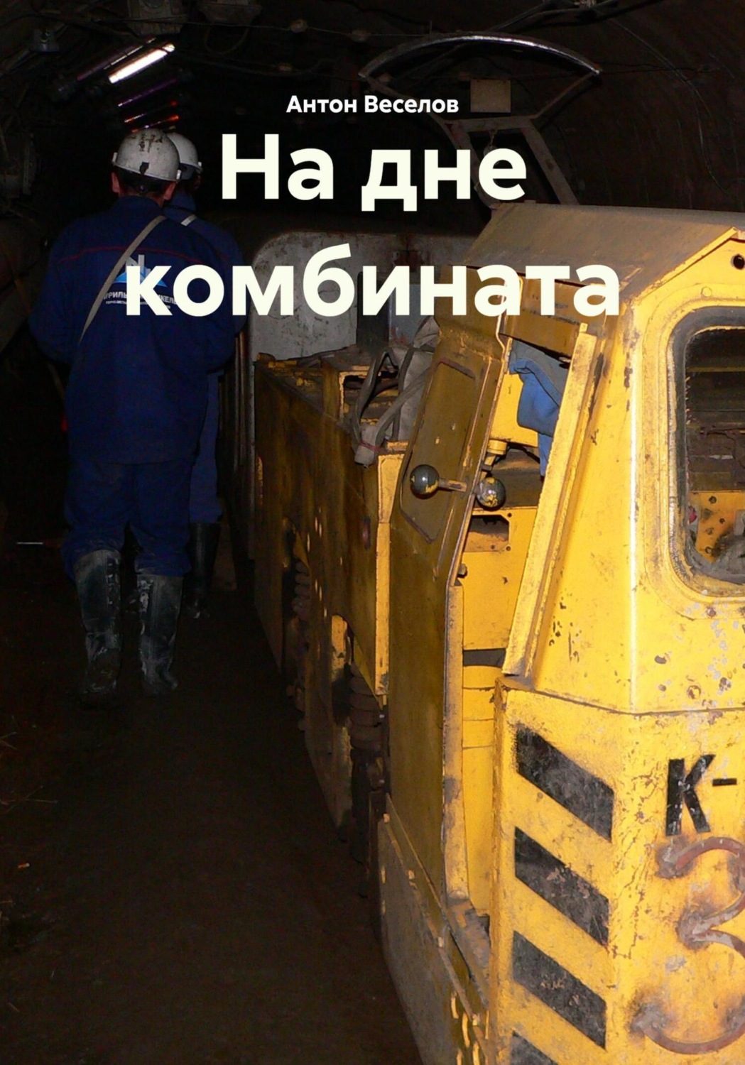 Обложка книги «На дне комбината»