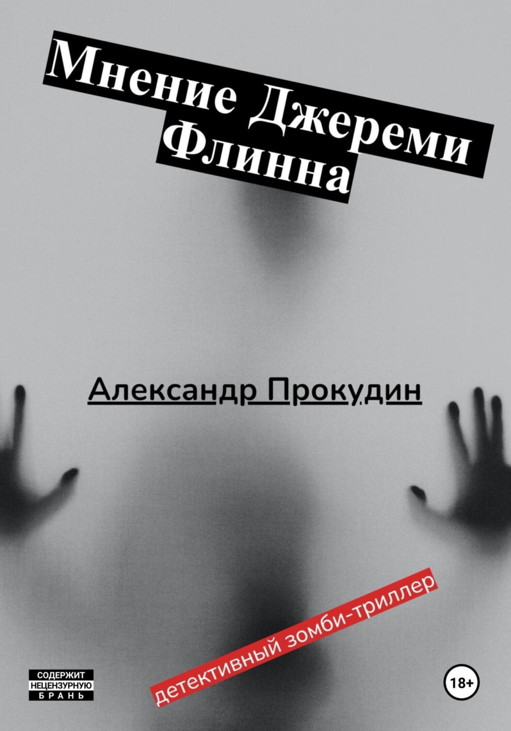 Обложка книги «Мнение Джереми Флинна»