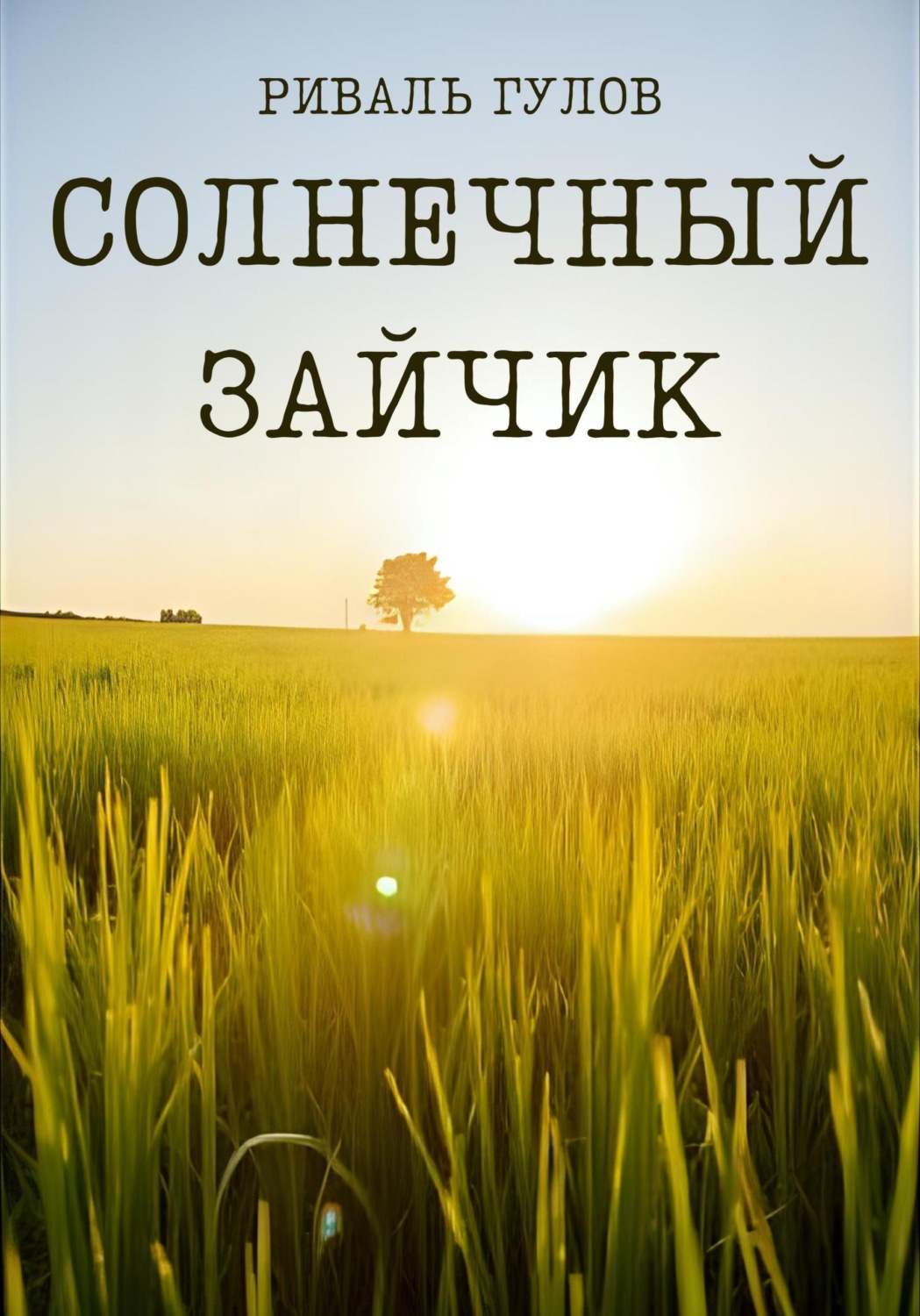 Обложка книги «Солнечный зайчик»
