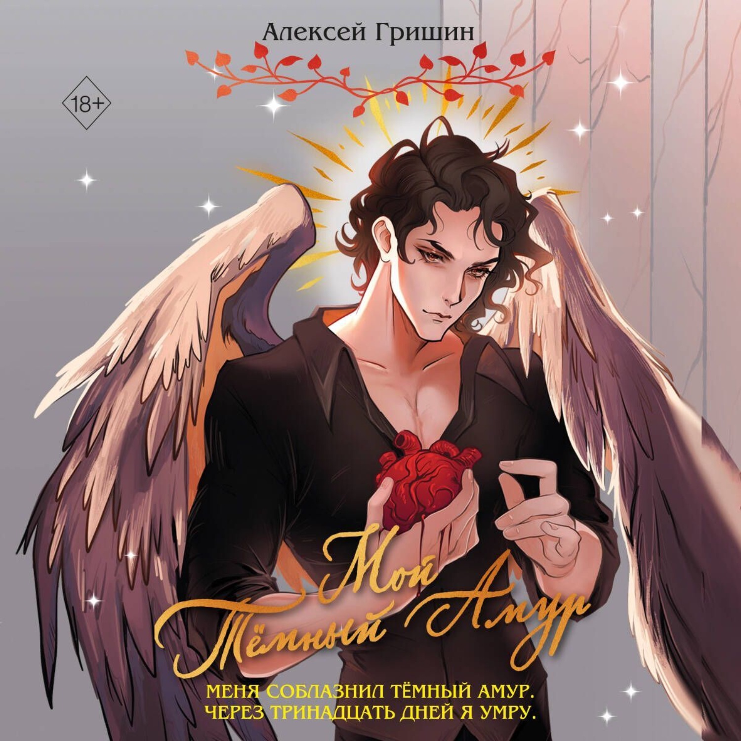 Обложка книги «Мой Тёмный Амур»