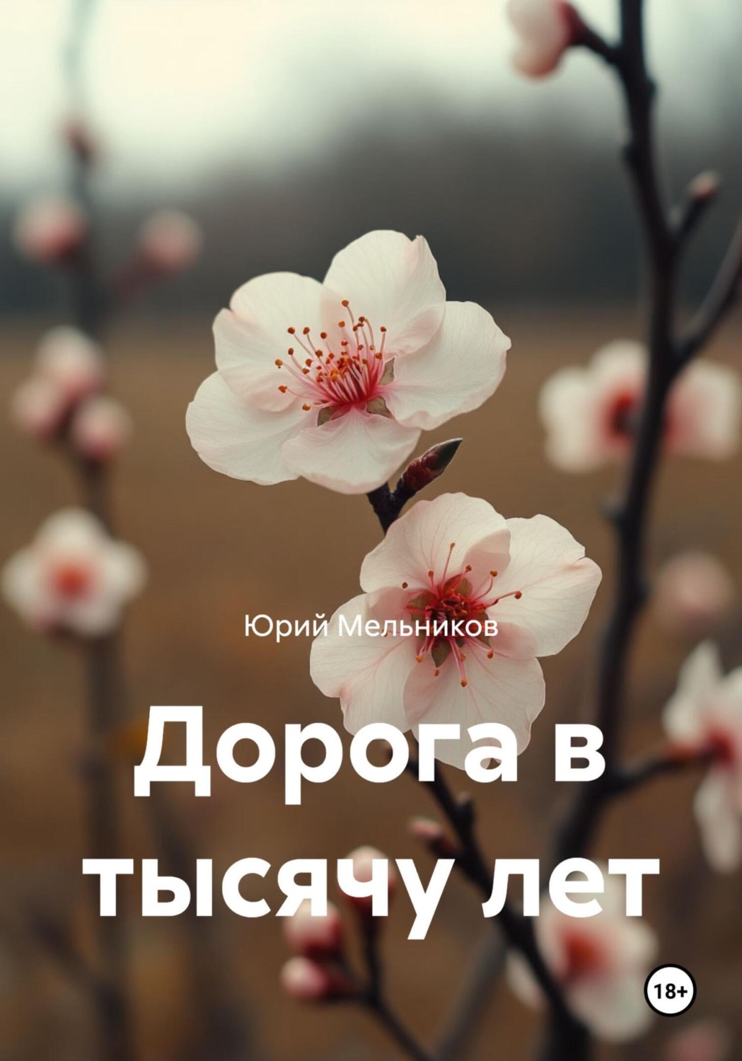Обложка книги «Дорога в тысячу лет»