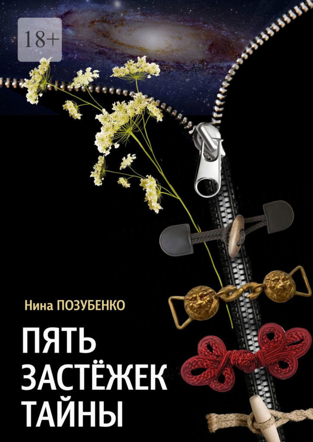 Обложка книги «Пять застёжек тайны»