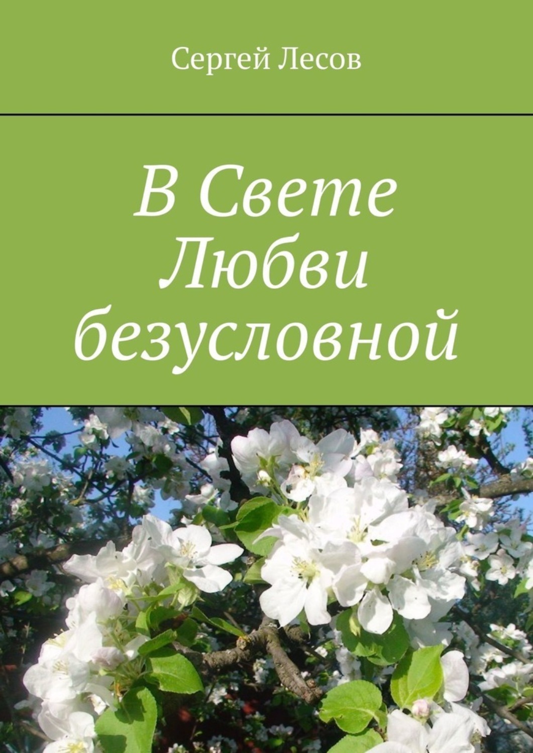 Обложка книги «В Свете Любви безусловной»