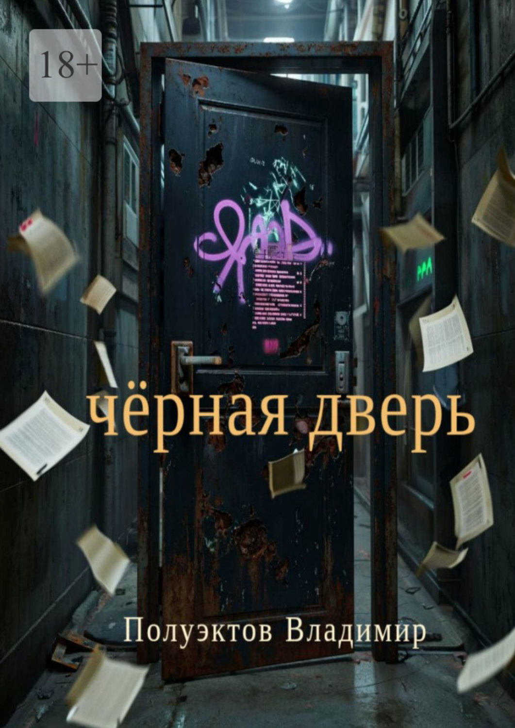 Обложка книги «Чёрная дверь»