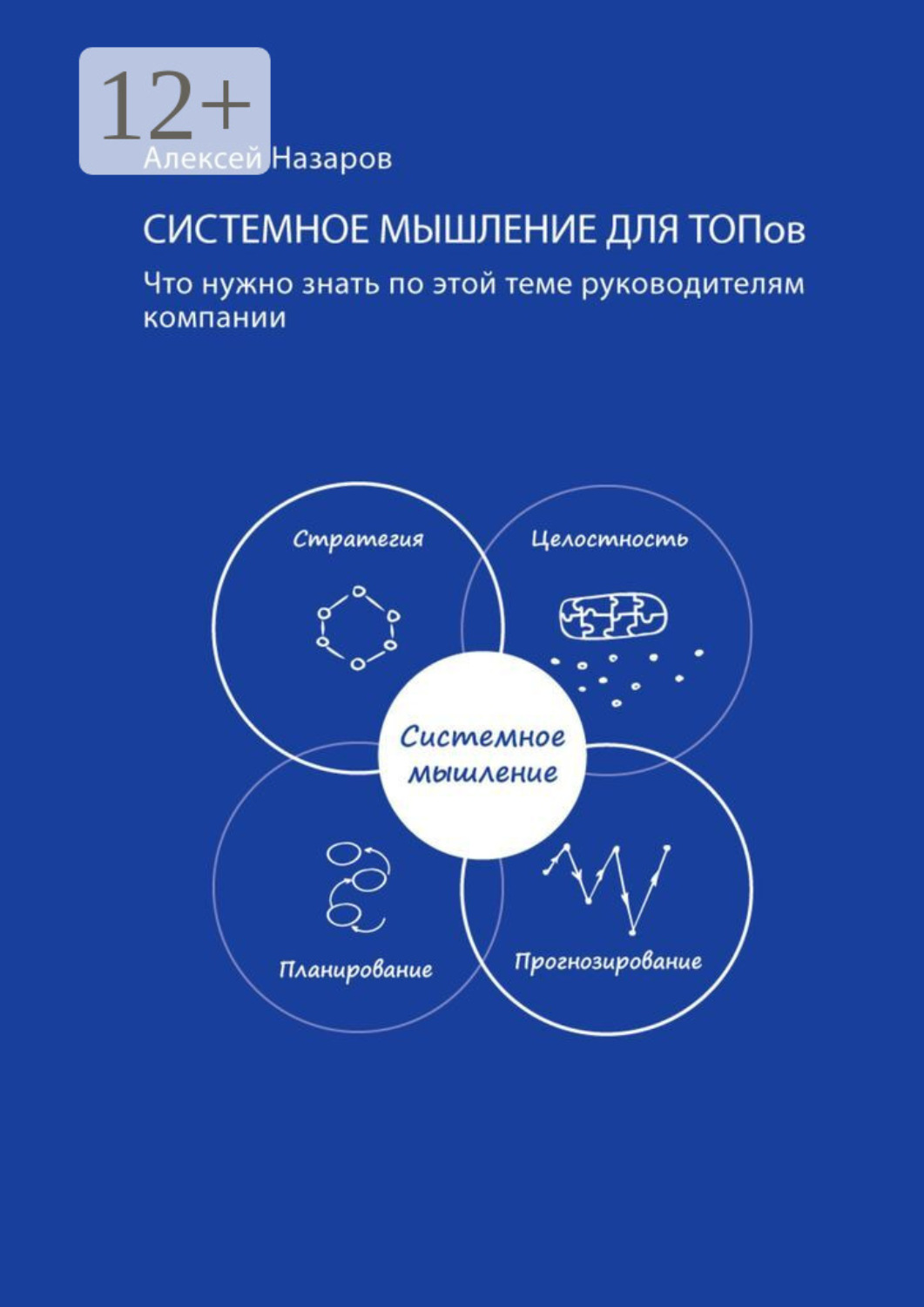 Обложка книги «Системное мышление для ТОПов. Что нужно знать по этой теме руководителям компаний»