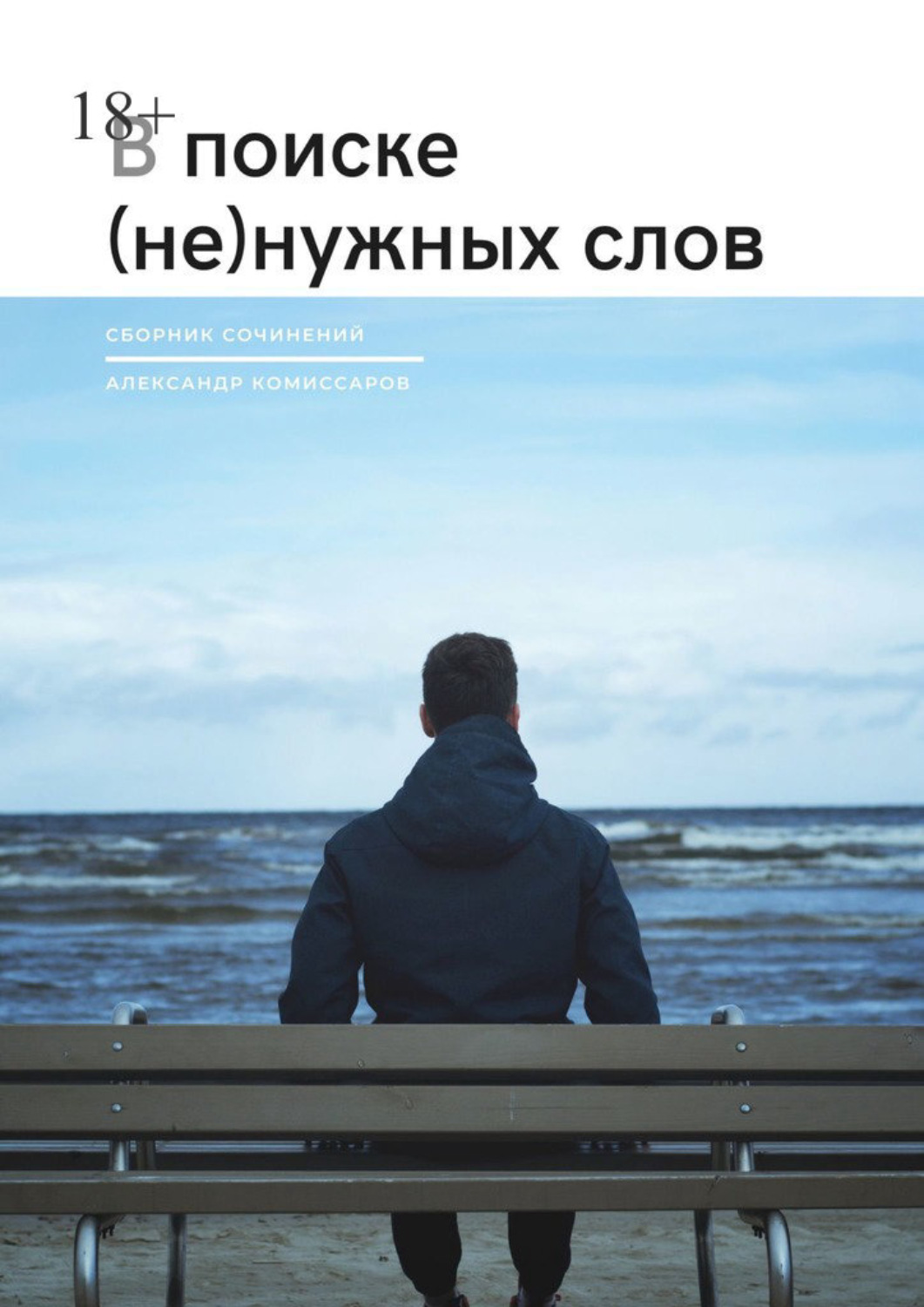 Обложка книги «В поиске (не) нужных слов»