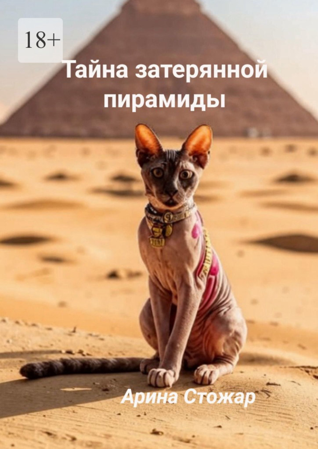 Обложка книги «Тайна затерянной пирамиды»