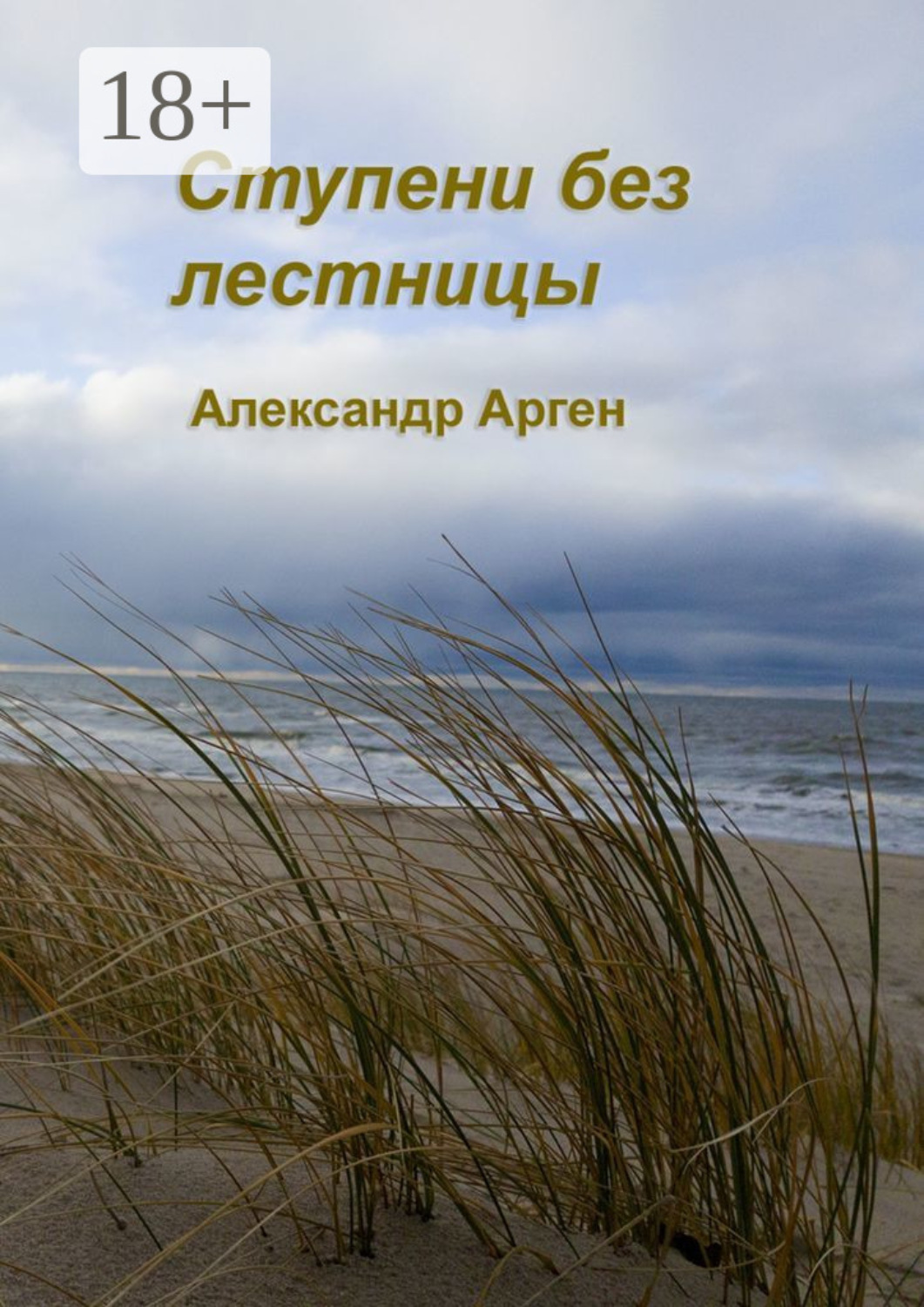 Обложка книги «Ступени без лестницы»