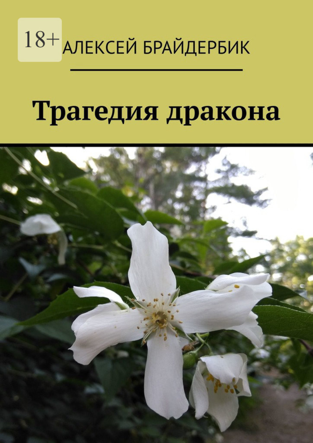 Обложка книги «Трагедия дракона»
