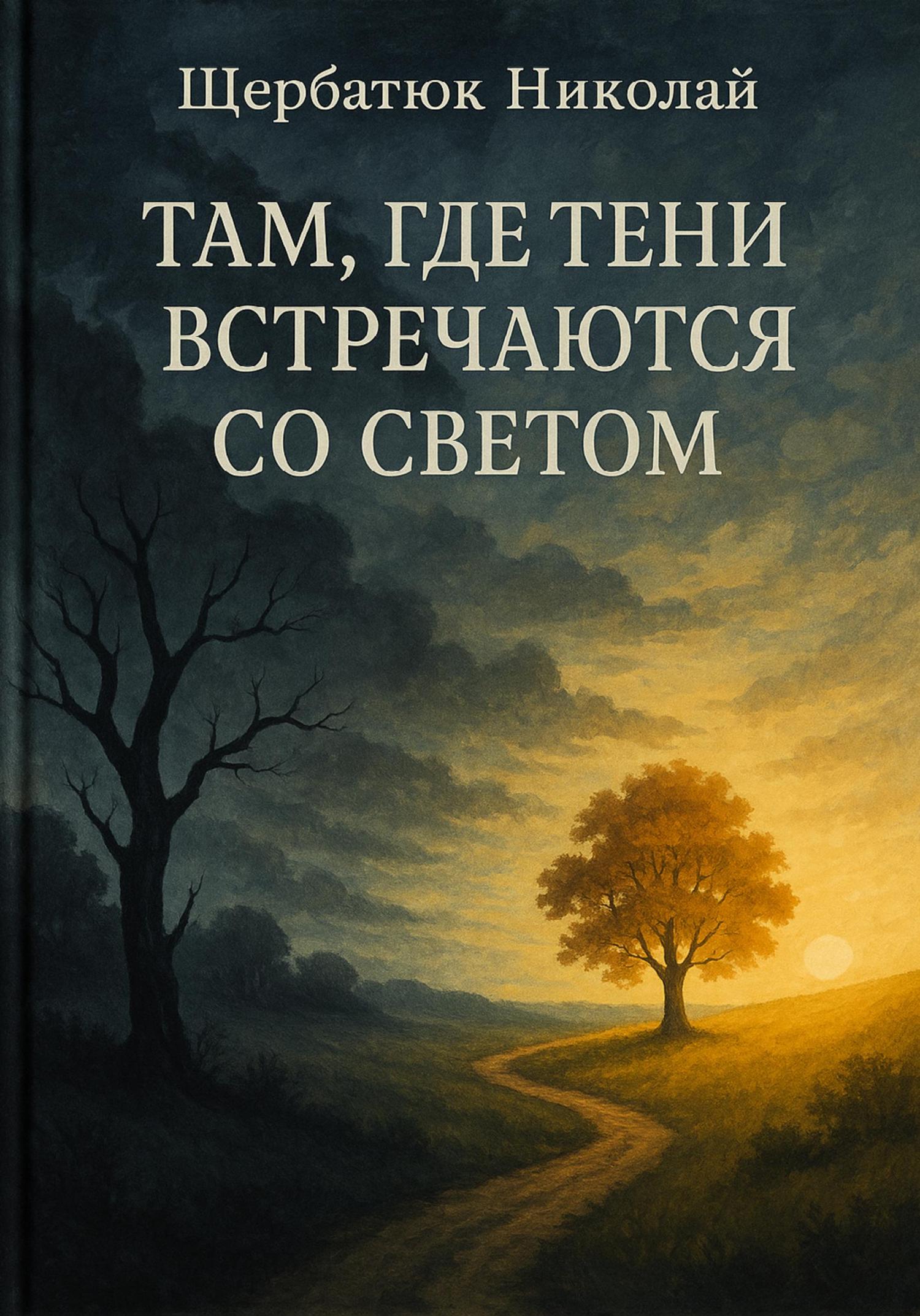 Обложка книги «Там, где тени встречаются со светом»