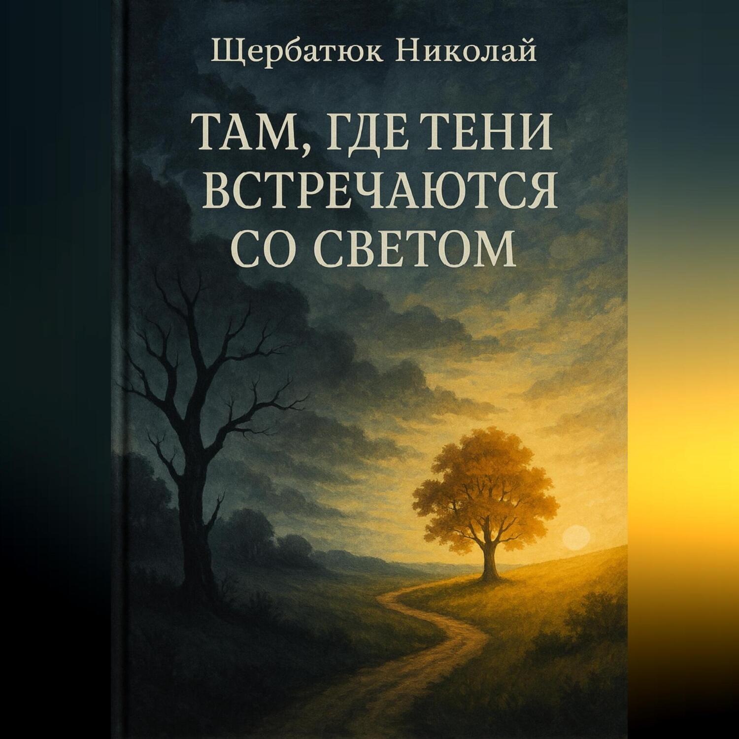 Обложка книги «Там, где тени встречаются со светом»