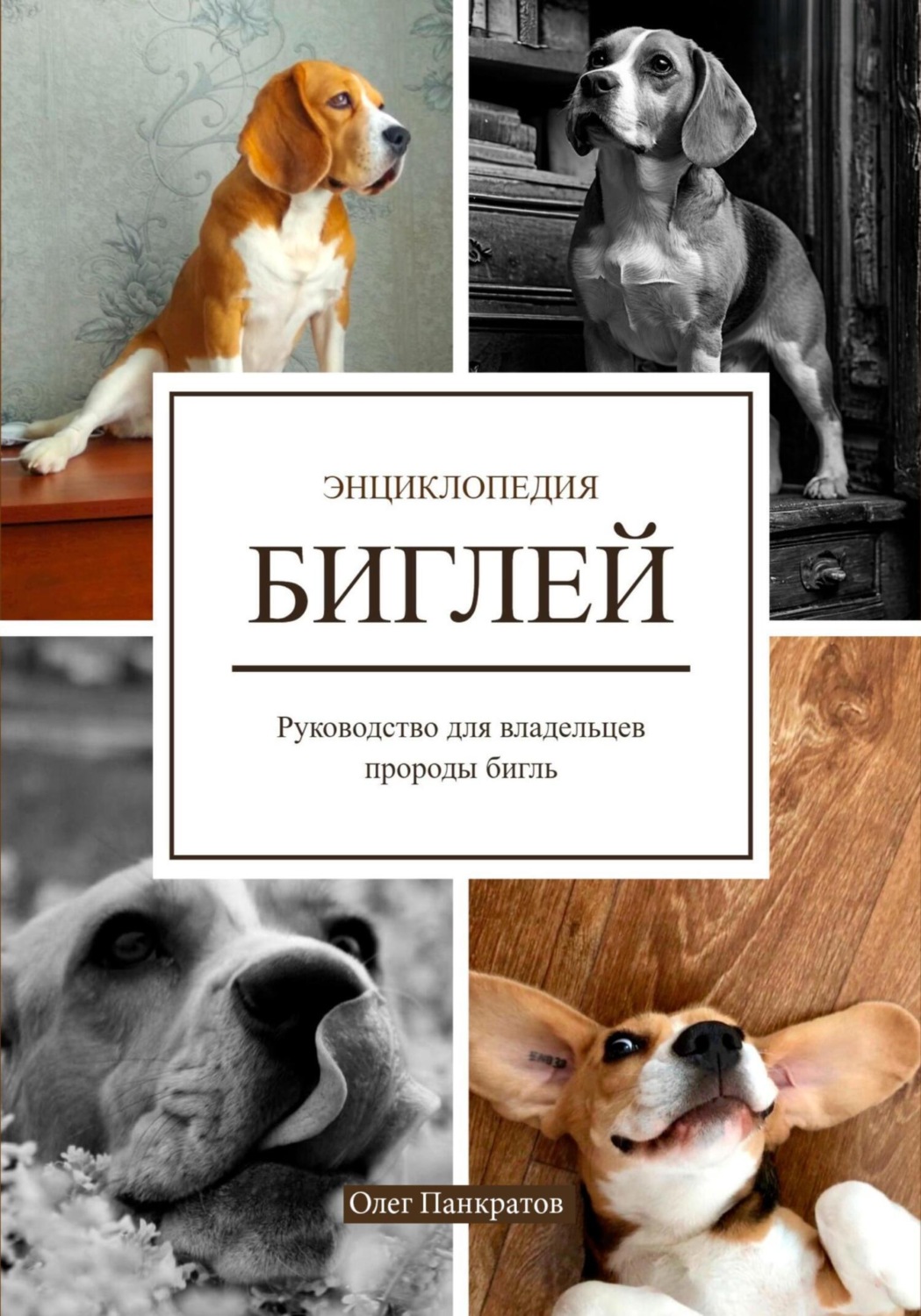 Обложка книги «Энциклопедия БИГЛЕЙ. Руководство для владельцев породы бигль»