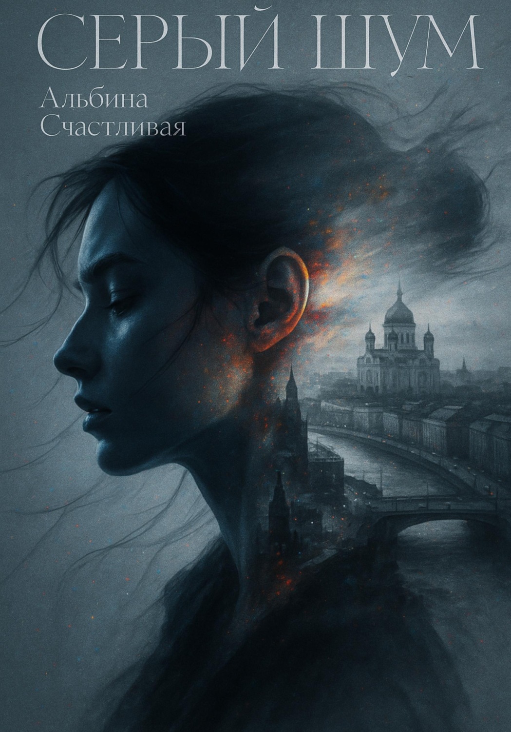 Обложка книги «Серый шум»