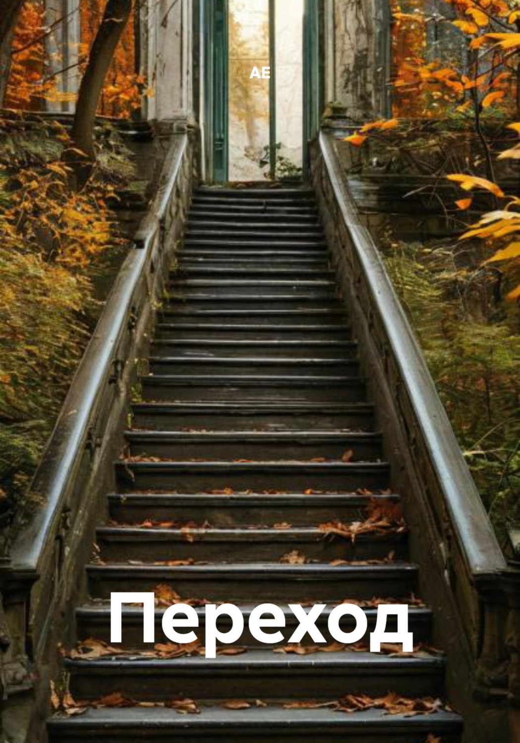 Обложка книги «Переход»