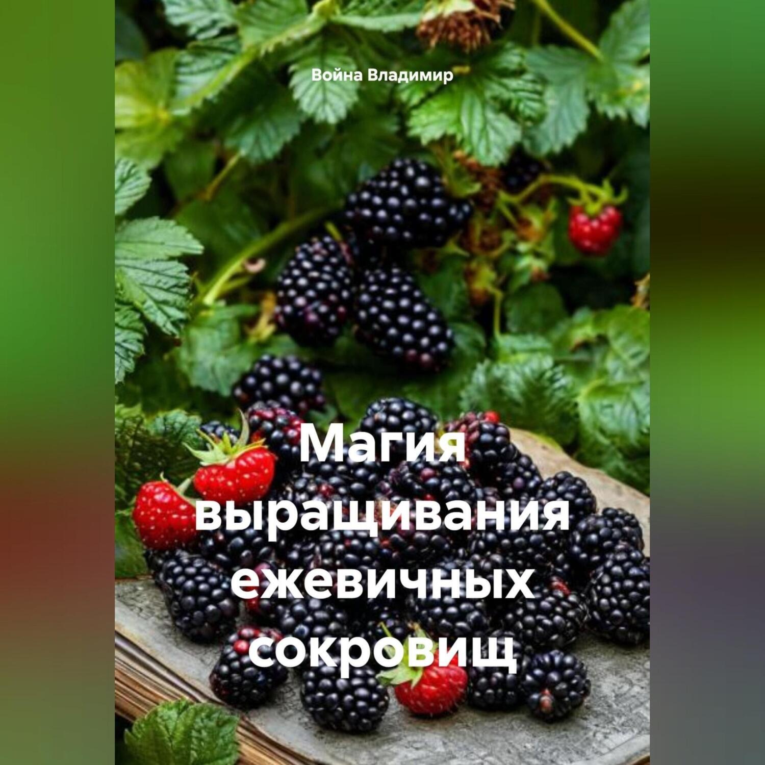 Обложка книги «Магия выращивания ежевичных сокровищ»