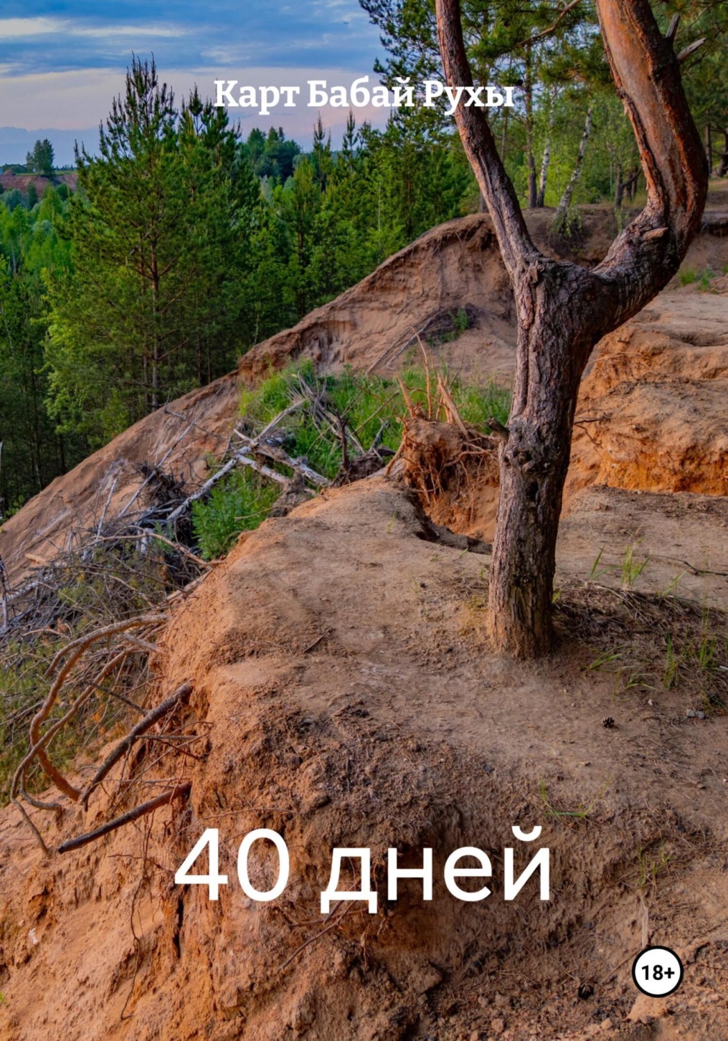 Обложка книги «40 дней»