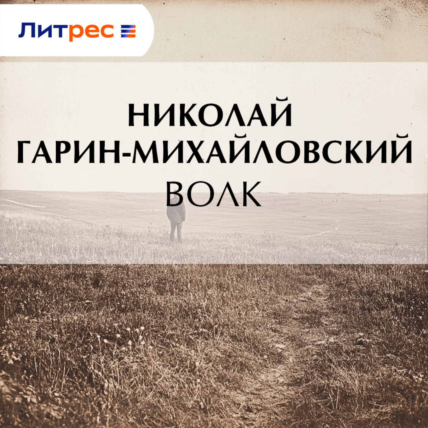 Обложка книги «Волк»